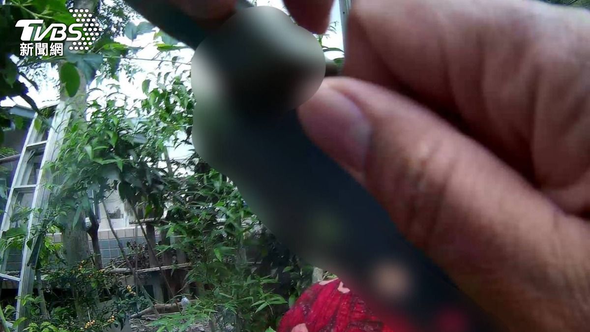 婦人持刀揮舞,警方到場先卸下心防再迅速奪刀。(圖/TVBS)
