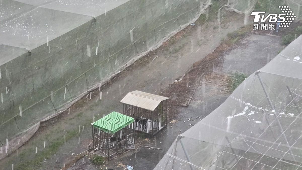 冰雹降下砸在農作物護網上。（圖／民眾 黃俊豪授權提供）