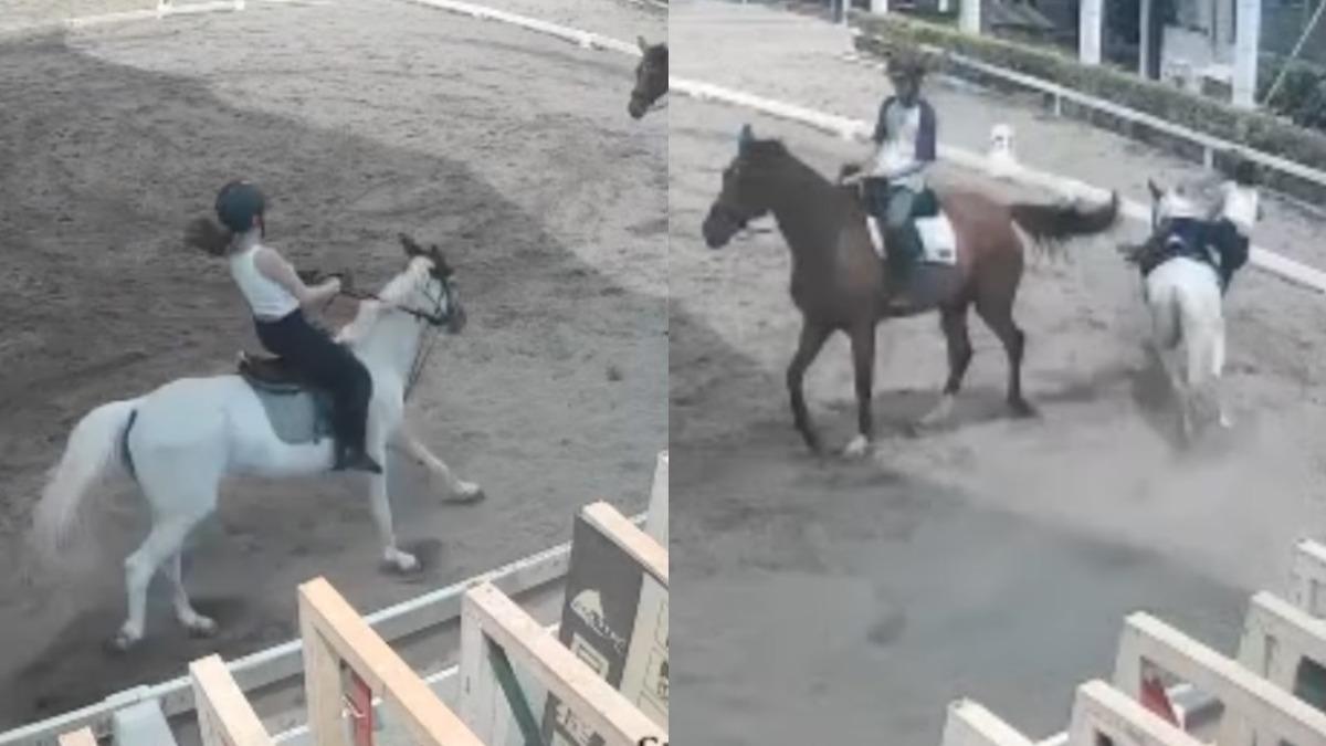 馬突然失控。(圖/翻攝自IG)