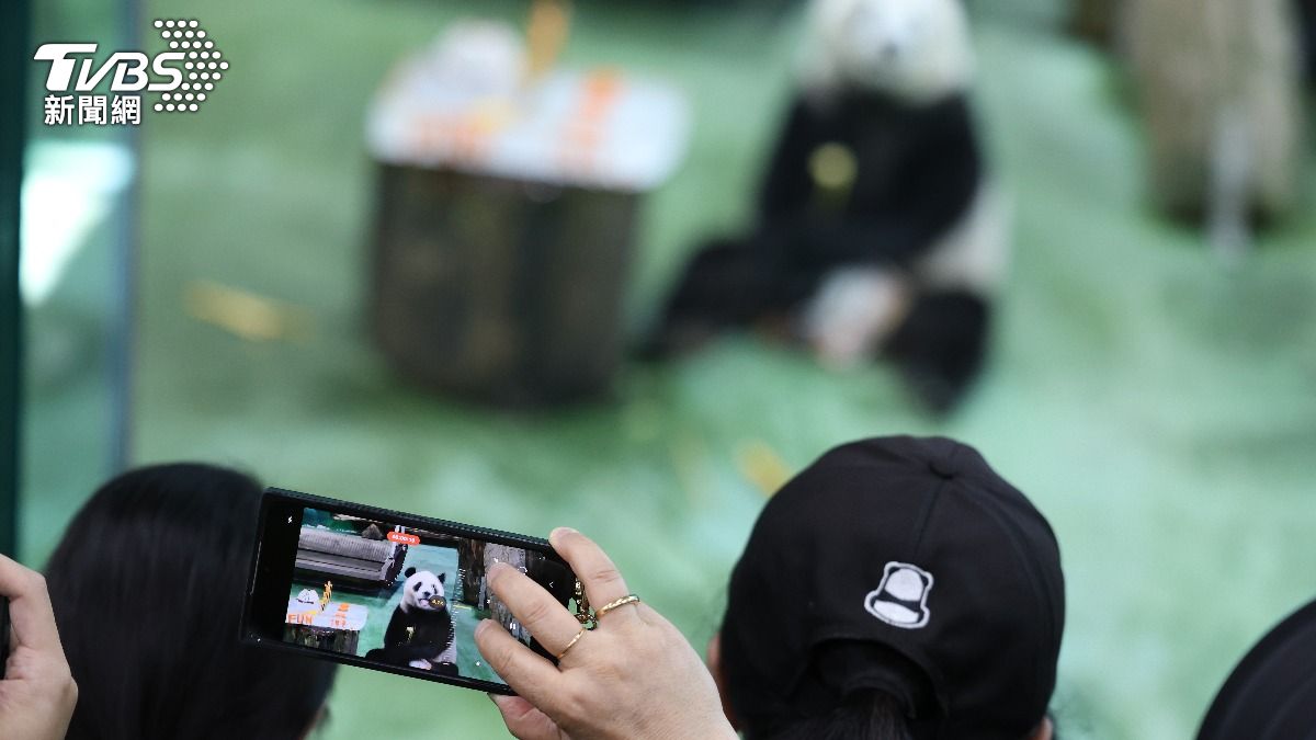 「圓寶」5歲生日,眾多粉絲同慶生。(圖/記者華子琛攝)