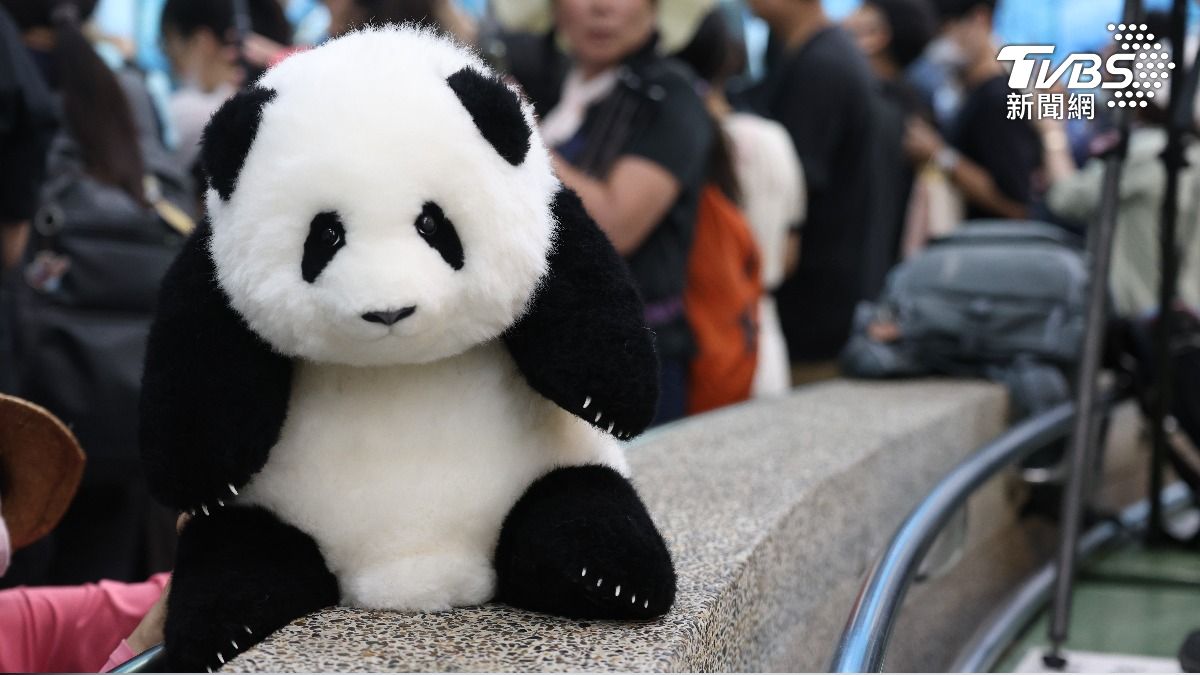 「圓寶」玩偶也相當受粉絲歡迎。(圖/記者華子琛攝)