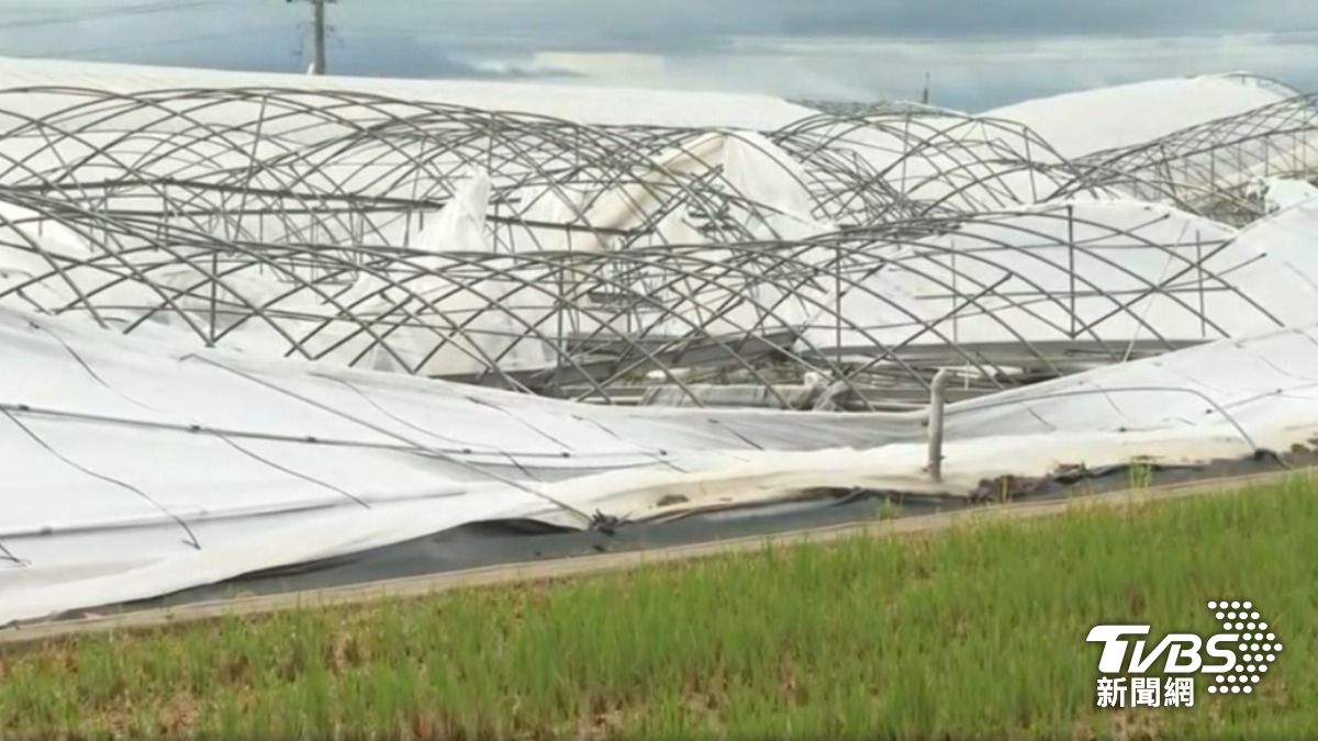 Typhoon Danas causes NT$1.6B in losses (TVBS News) Typhoon Danas causes NT$1.6 billion in farm losses