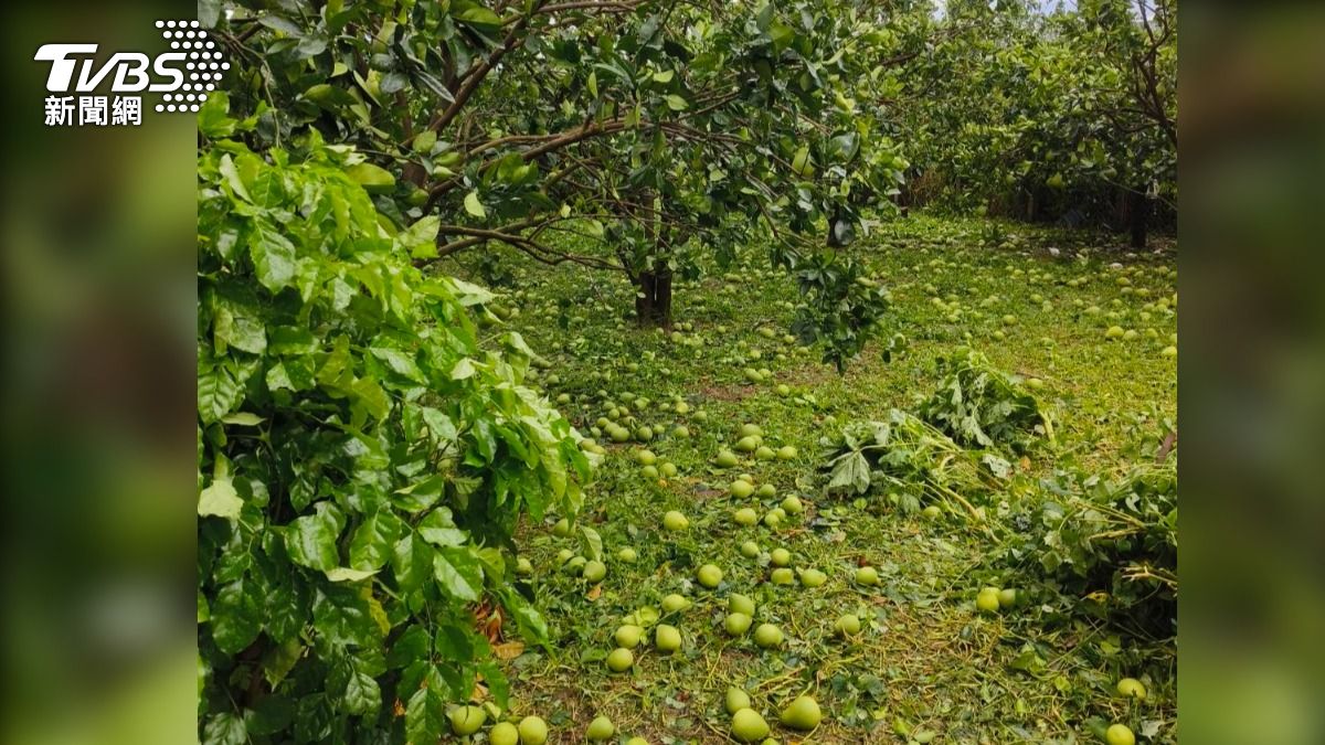 Typhoon Danas hits Tainan, damages crops (TVBS News) Typhoon Danas hits Tainan, devastates agriculture