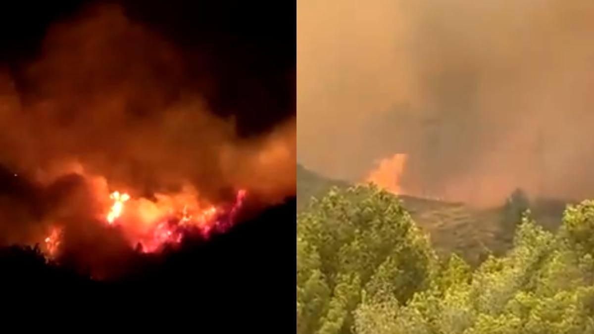 西班牙（左）與法國（右）兩地陸續爆發森林野火。（圖／截自Ｘ＠Reuters@hadjalahbib）