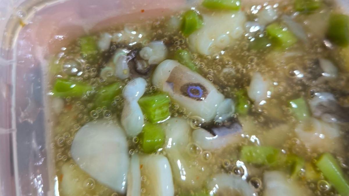 芥末章魚吃一半驚見「藍環觸角」他嘴麻衝急診　醫：無藥可解