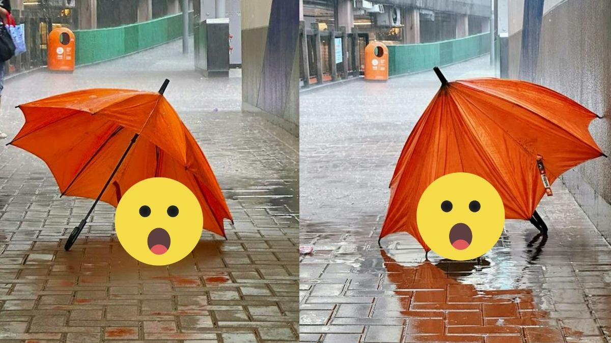 香港美孚街頭感人一幕感動全網。(圖/翻攝自Threads@kcph0t0) 香港美孚街頭感人一幕感動全網。(圖/翻攝自Threads@kcph0t0)