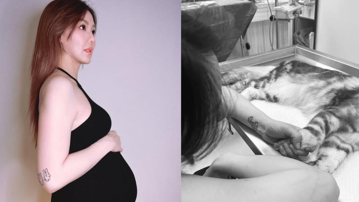 生產倒數出事了！　劉雨柔「悲收噩耗」崩潰：媽媽的肚子等你回來