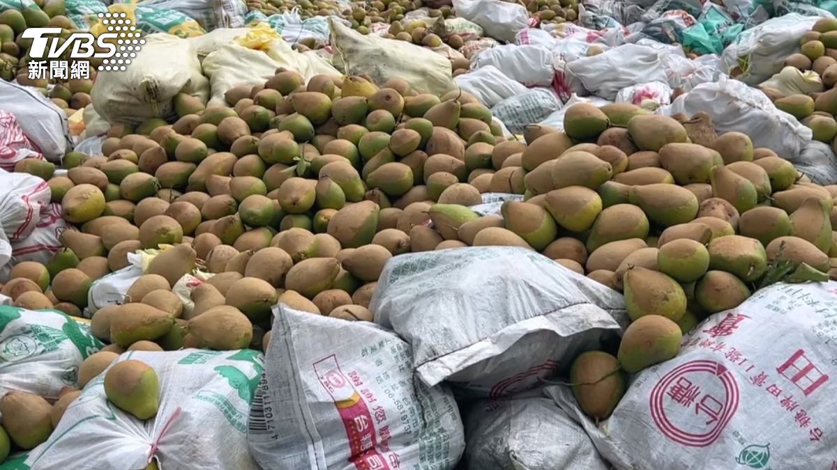 麻豆文旦柚產量剩2成！　傳要警消「撿柚」 消防局回應