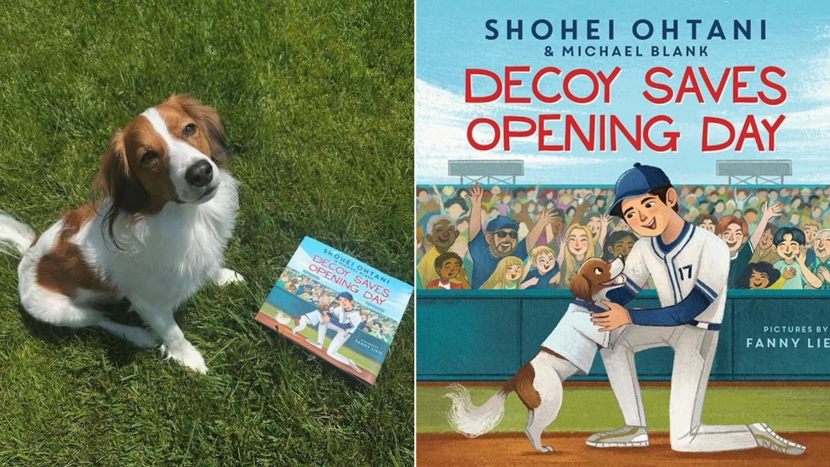 大谷翔平愛犬Dekopin成繪本主角！MLB官方搶幫宣傳