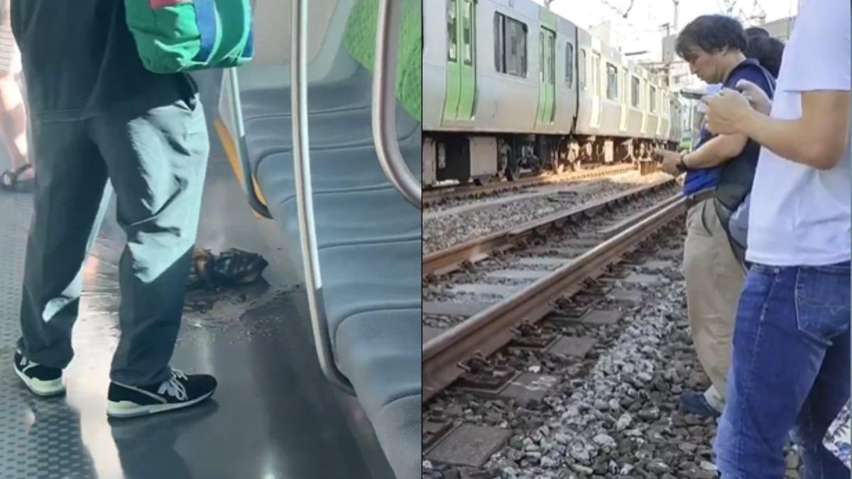 日本東京的山手線列車傳出行李冒火消息，乘客直接在鐵軌線路上下車躲避。（圖／翻攝X）