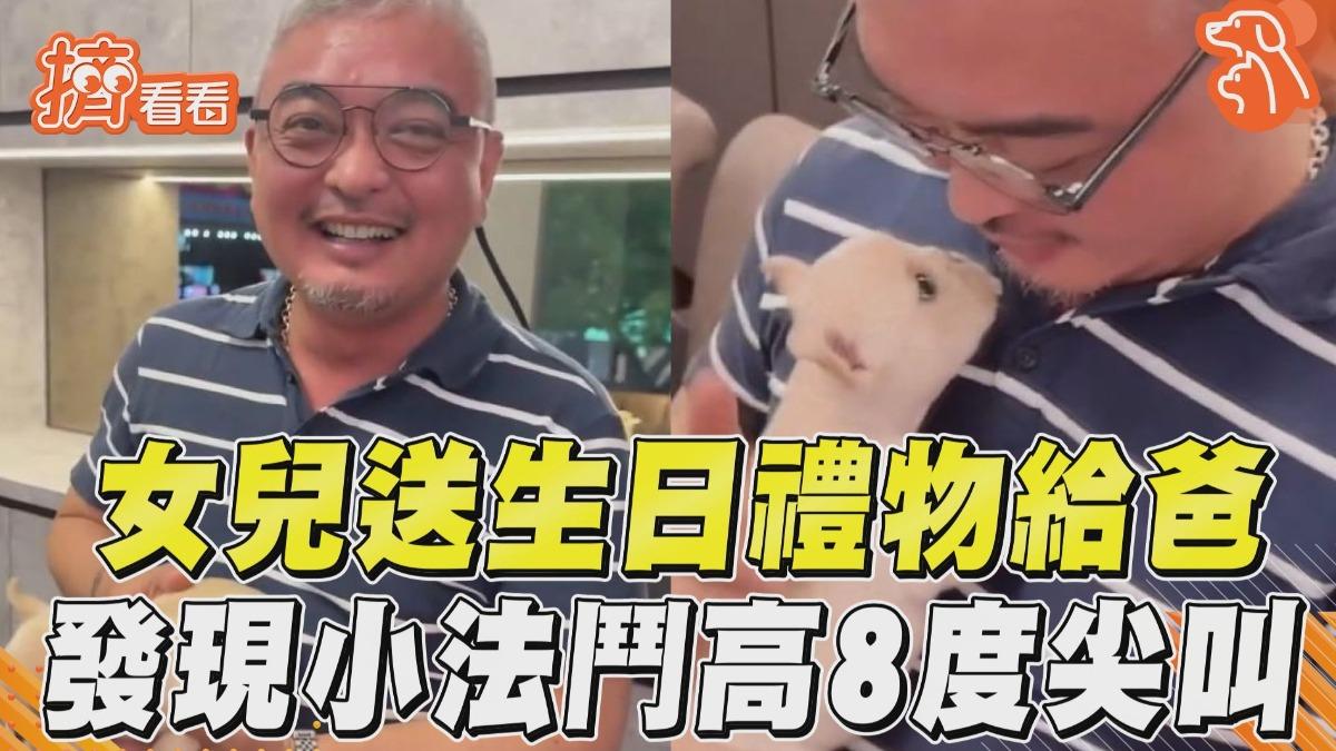 影音／女兒送生日禮物給老爸　打開發現「小法鬥」高8度尖叫