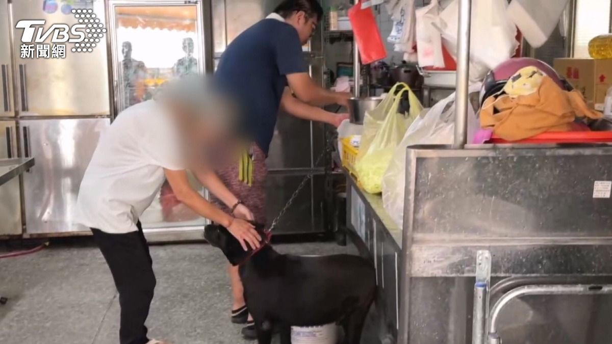 「狗都有繫繩」對決「已忍無可忍」　騎士遭店狗咬 槓老闆