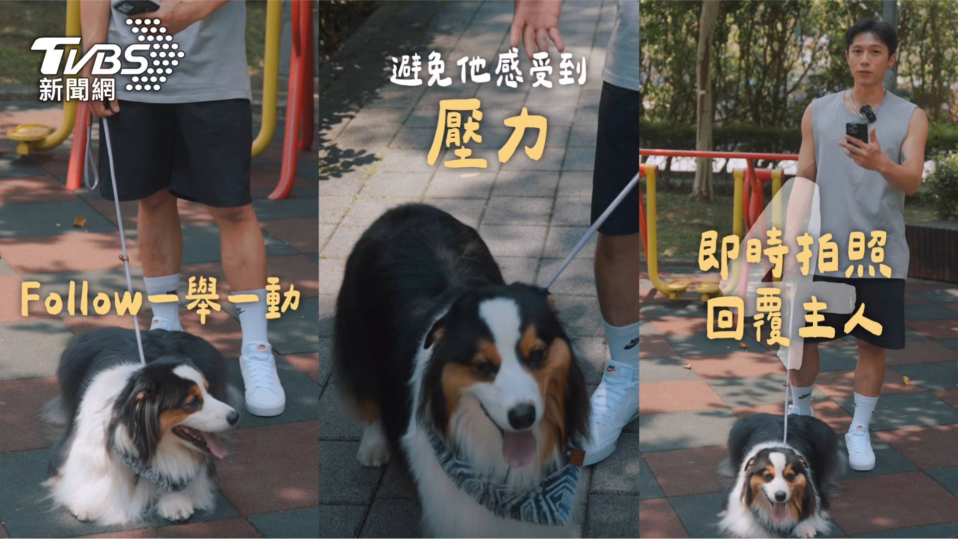 高壓世代不孤單，身心科醫師指出：養毛孩成為現代人情緒支持新選擇