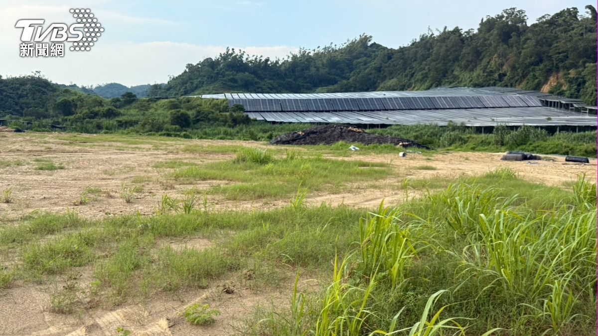 綠電奇蹟害山禿！高雄大樹光電業者、技師羈押　市府回應了
