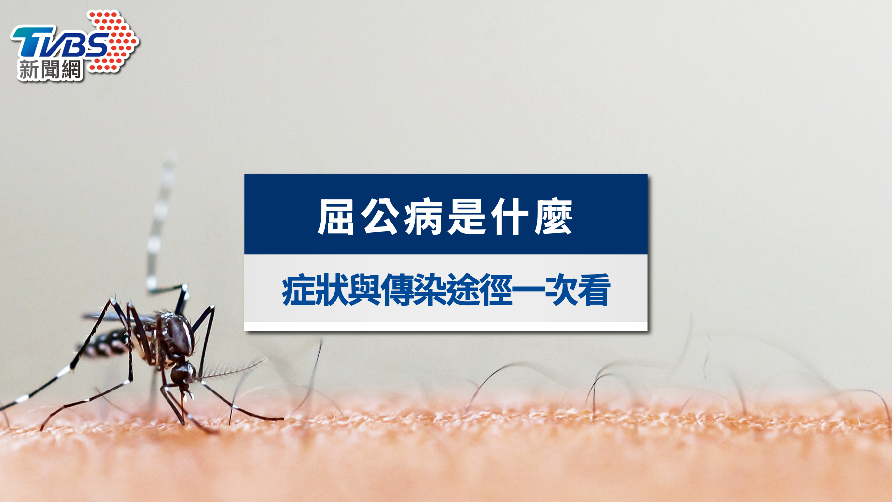 屈公病是什麼？全球疫情升溫如何預防？症狀與傳染途徑一次看懂