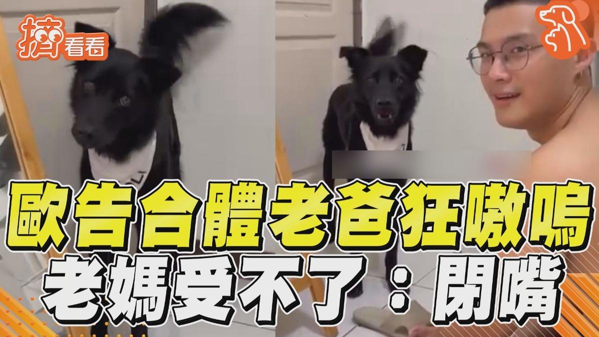 影音／歐告和老爸瘋狂「嗷嗚合唱」　老媽「氣噗噗」受不了
