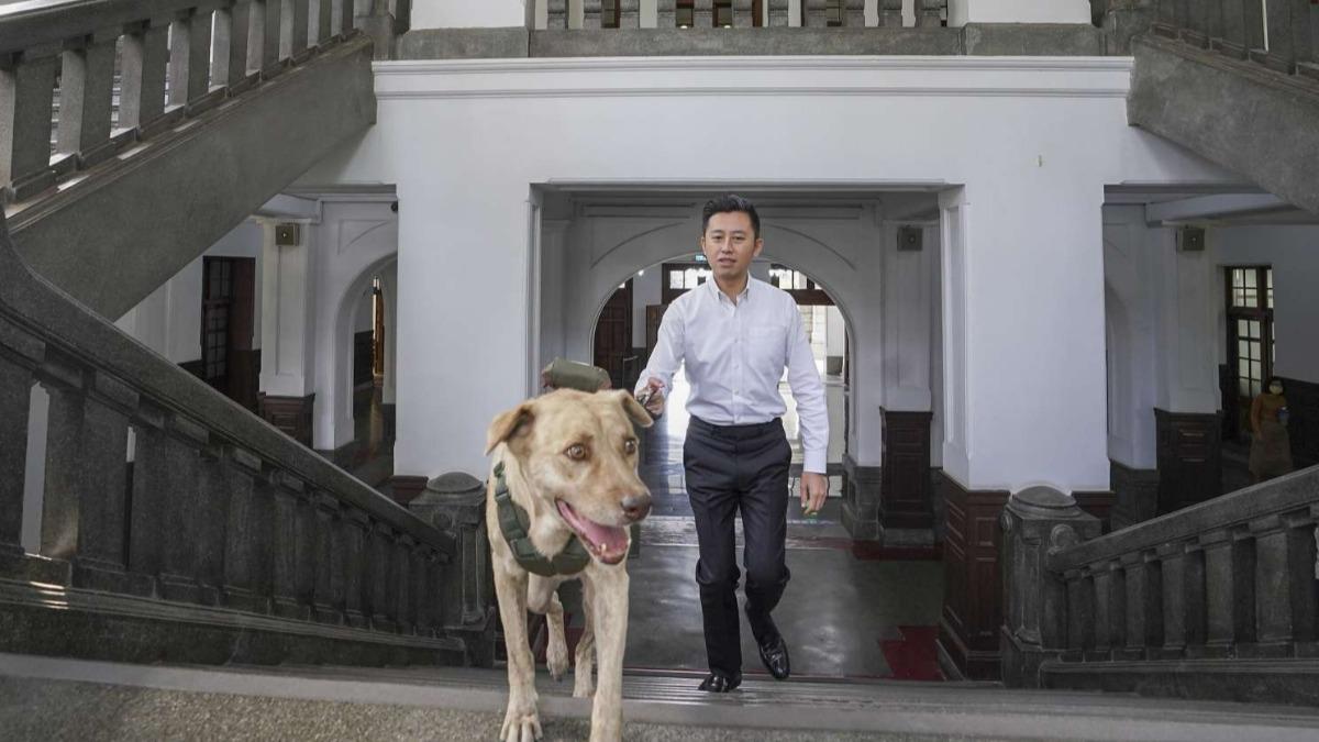 新竹市犬「棕棕」爆遭棄養！林智堅道歉：努力找適合他的家