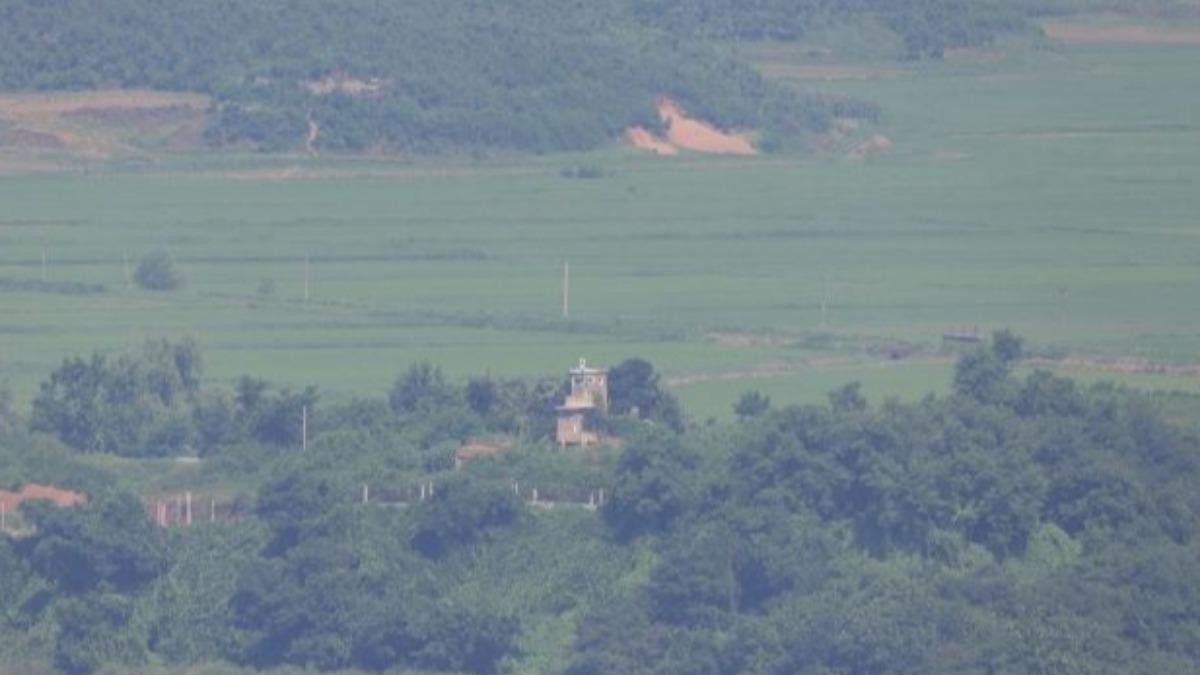 北韓男「保麗龍綁身」跳江　游2.5公里逃亡南韓