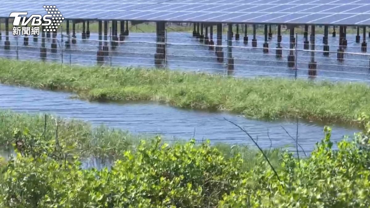 光電場淹水兩週！九旬阿嬤被迫離家　居民憂蚊蟲孳生恐釀疫情