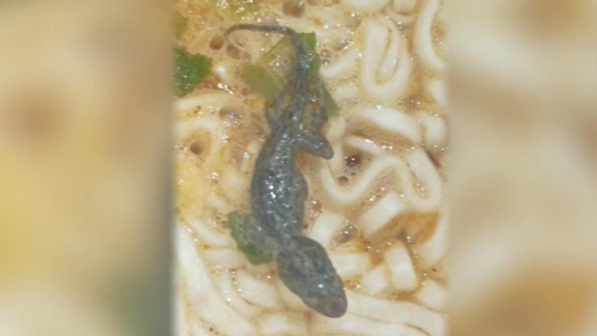 「泡麵泡出壁虎」害消費者乾嘔！ 業者：高溫加攪拌不太可能