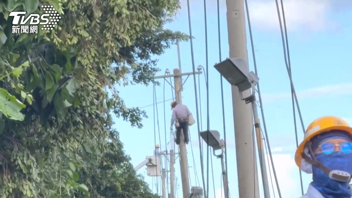 楊柳颳15級風！台東逾4萬戶停電　盼午夜前復電
