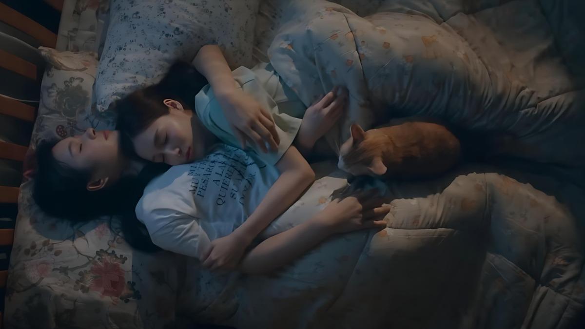 泰國「奶愛CP」3度來台！公開見面會超狂福利甜喊：很想大家│TVBS新聞網