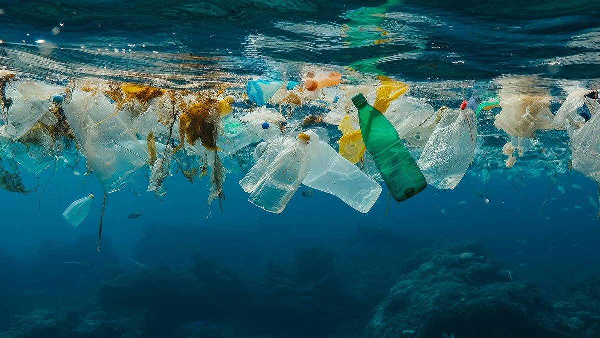 聯合國正式宣布從1973年起，每年6月5日為「世界環境日」。（圖／翻攝自聯合國世界環境日官網）