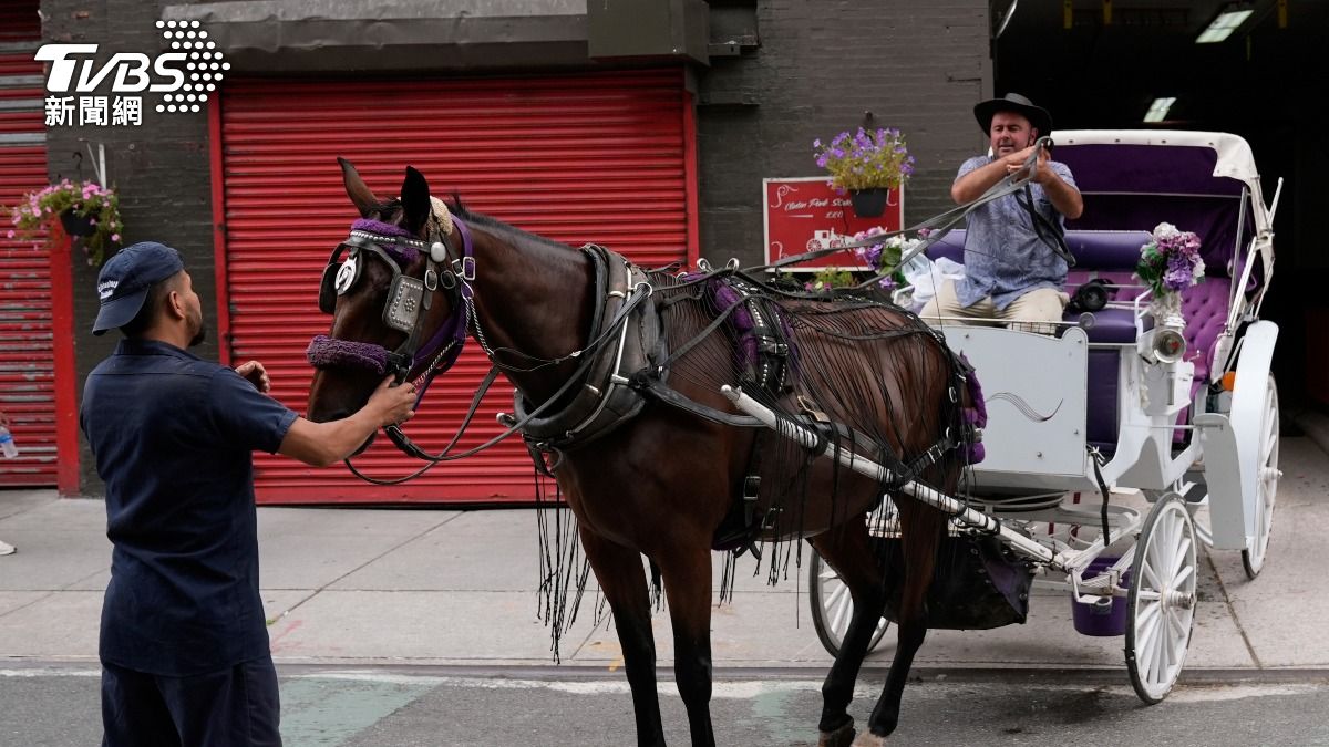紐約150年傳統將消失？議員籲禁觀光馬車　馬匹過勞脅用路人安全