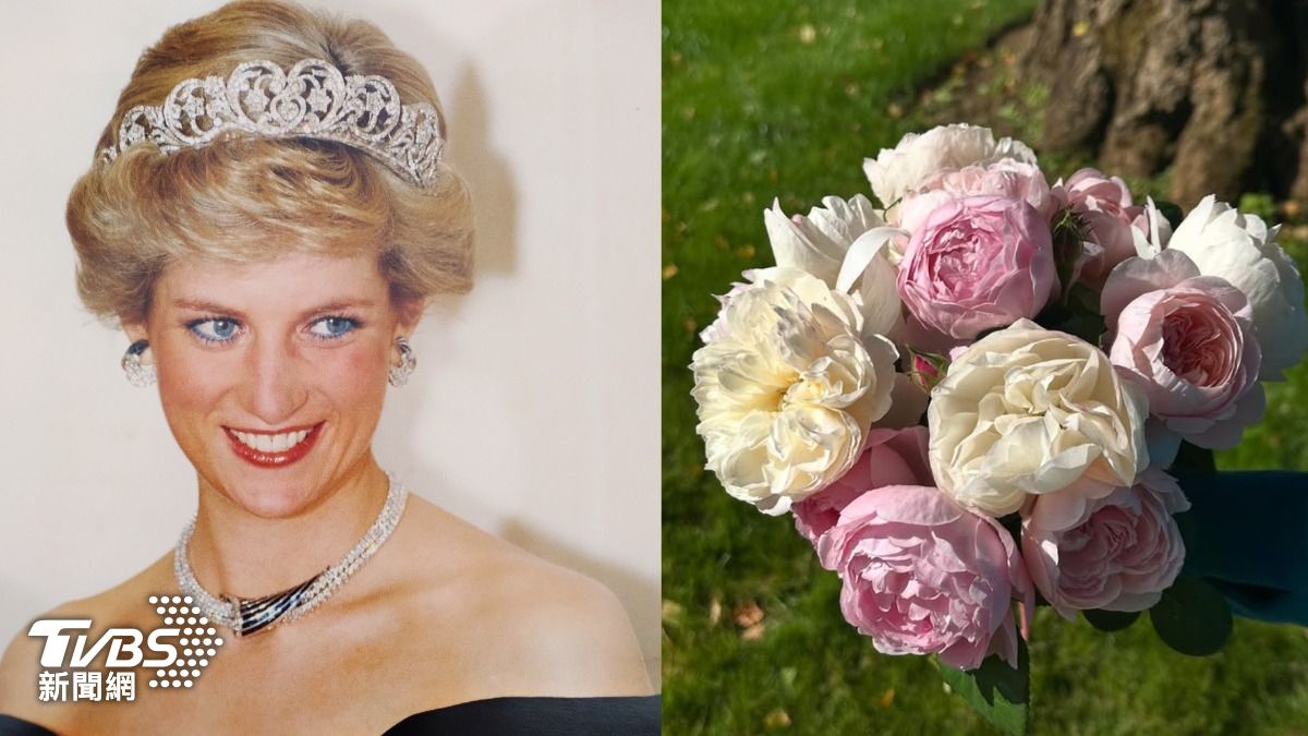 黛妃逝世滿28年，弟弟史賓賽伯爵採摘粉白玫瑰紀念。（圖／shutterstock 達志影像，IG@charles.earl.spencer）