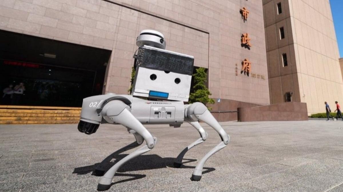 Taipei robotic dogs face security review over China ties