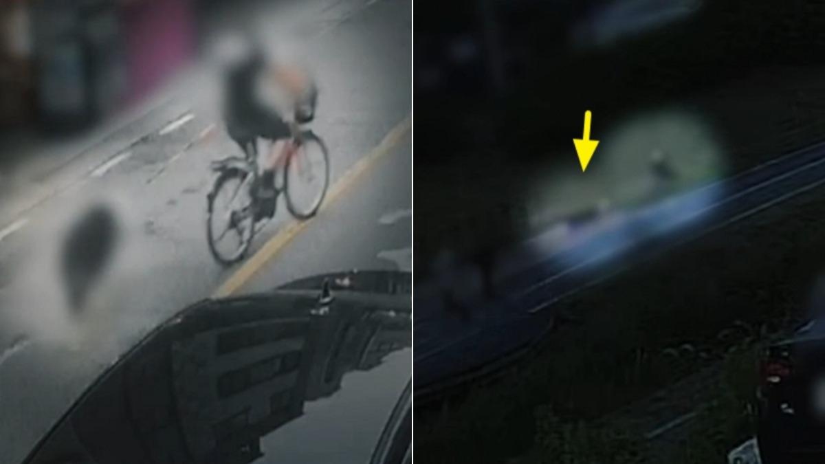 韓男將牧羊犬綁電動車　熱天「拖行30分鐘」害口吐白沫亡