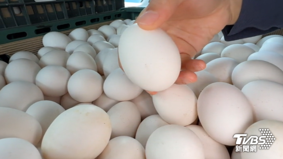 芬普尼蛋流台中!35家店中鏢恐下肚 赫見商旅、海線美食