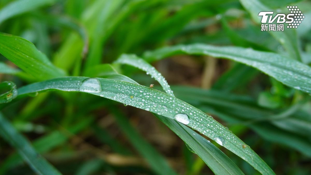 白露將到！命理師點名「4生肖」當心健康　加碼曝6大禁忌