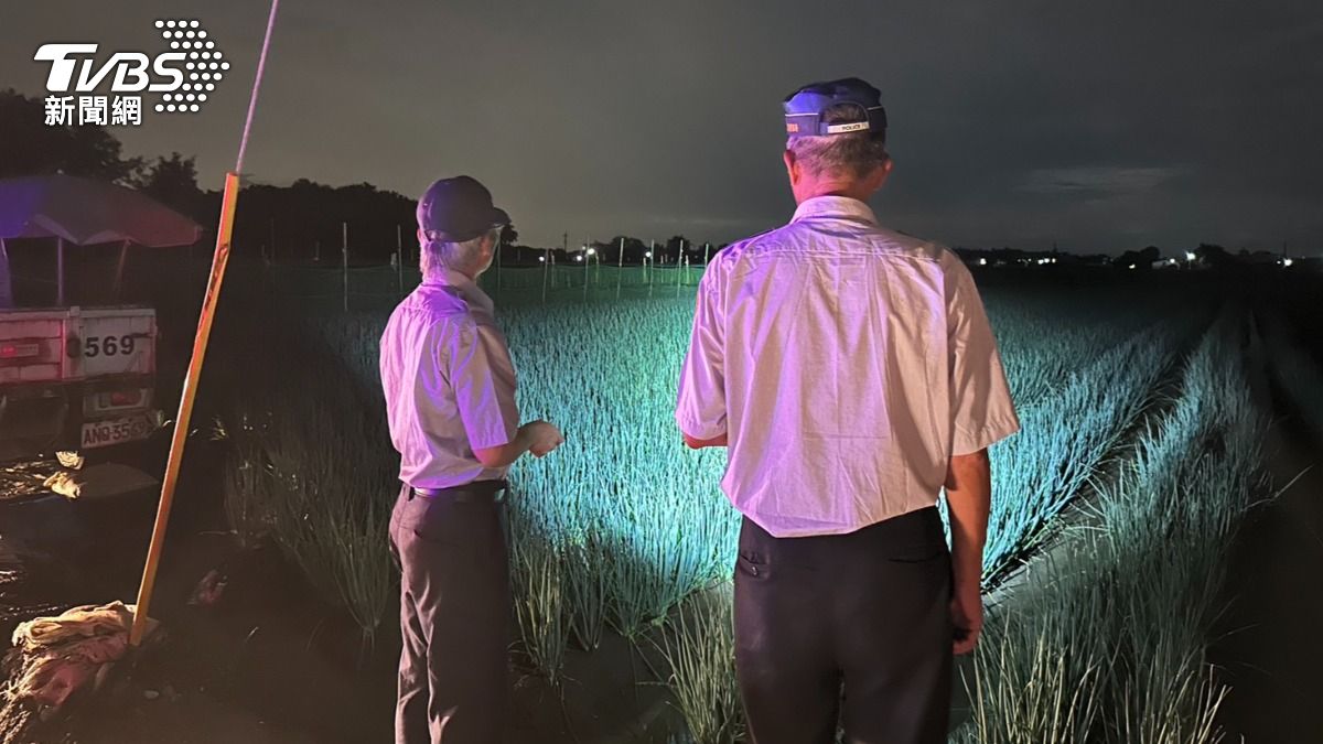 蔥價創新高！無良賊超狠整片田拔光　老農睡田邊10天護心血
