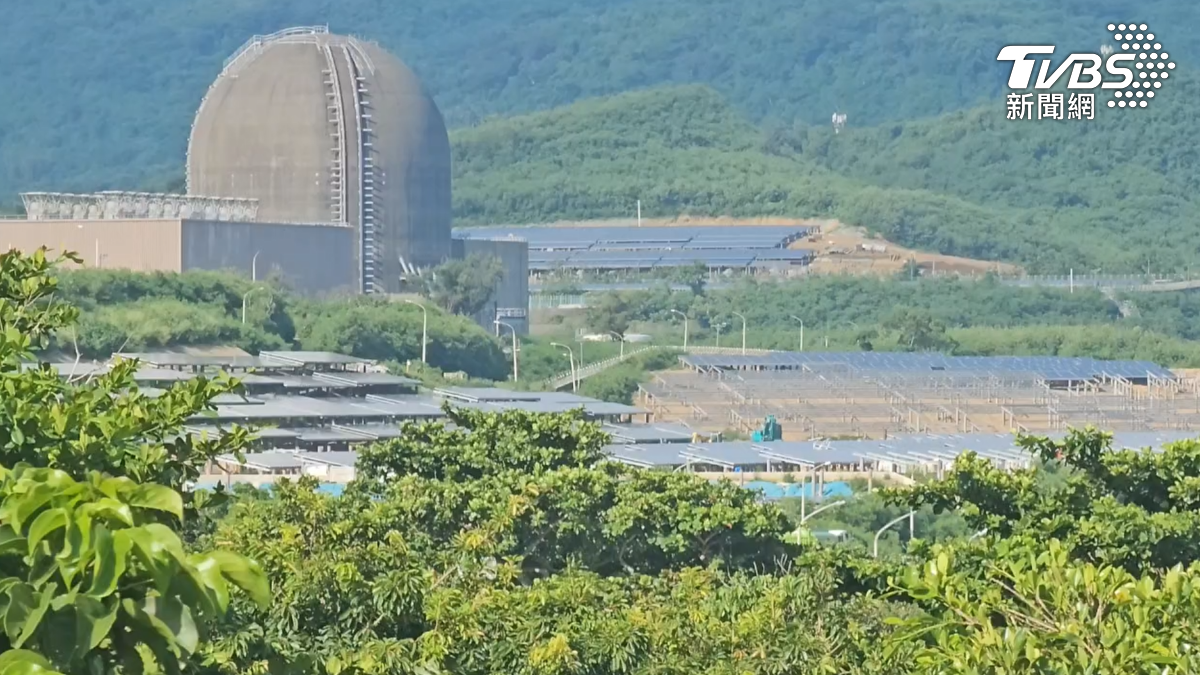 獨／核三才開挖光電廠！　潛水教練驚見海底混濁　明星生物快死光