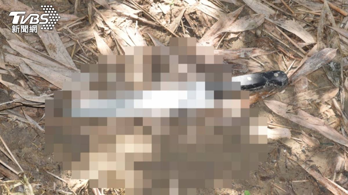 台中男遭菲籍移工砍死！7天前砸母、姨家被毆　手腳全斷住院
