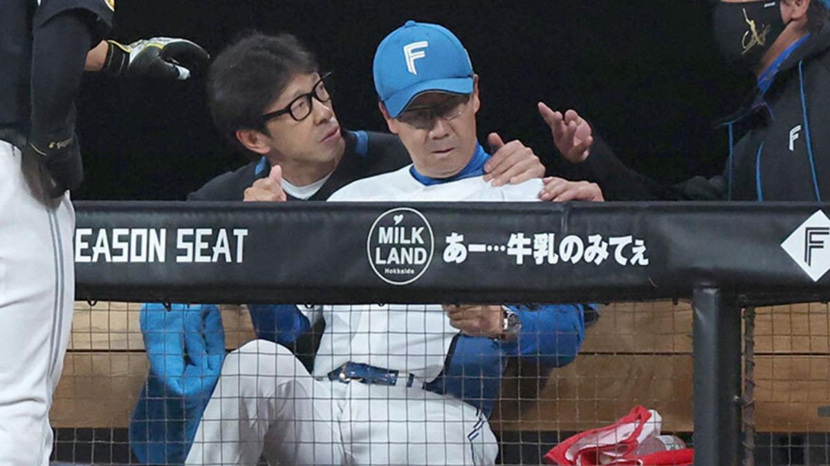 八木裕-日本職棒-火腿隊-軟銀隊-打擊教練-折斷球棒-腦出血-新庄剛志-代打之神-近藤健介