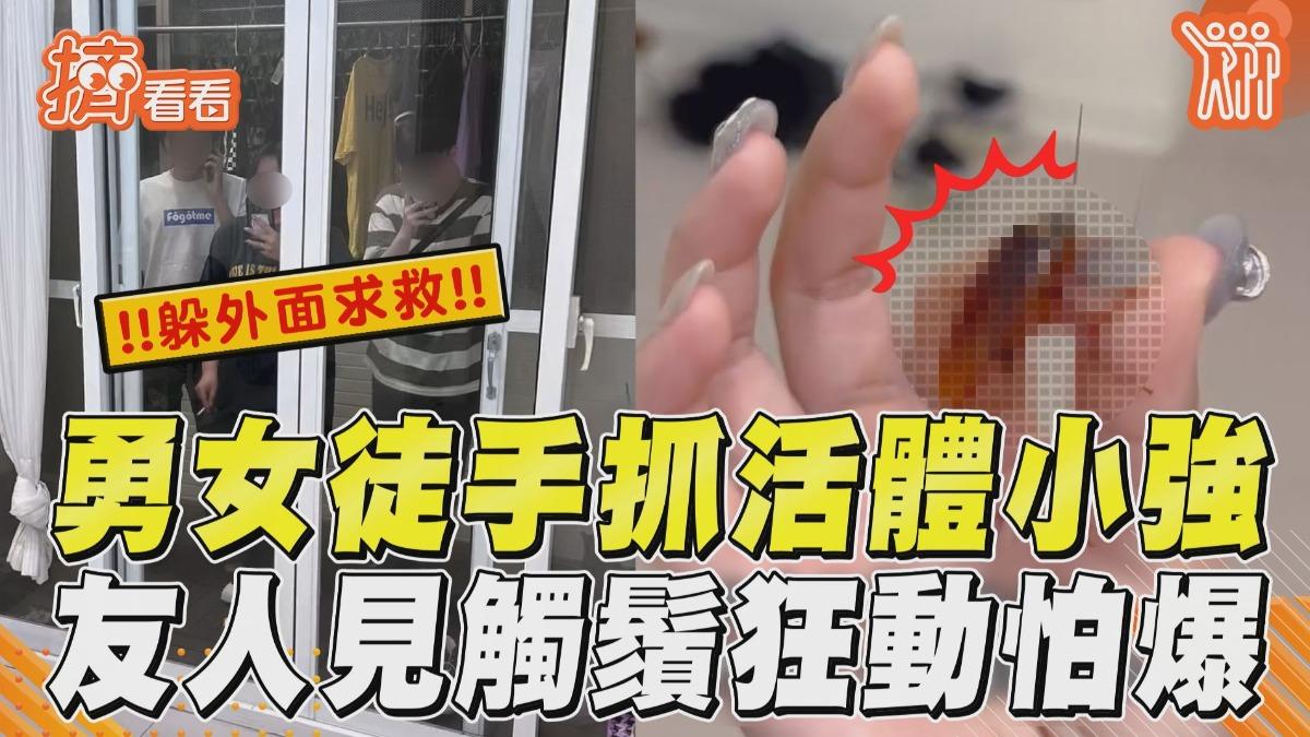 影音／勇女徒手抓活體小強！　「觸鬚狂抖動」網怕：手不能要了