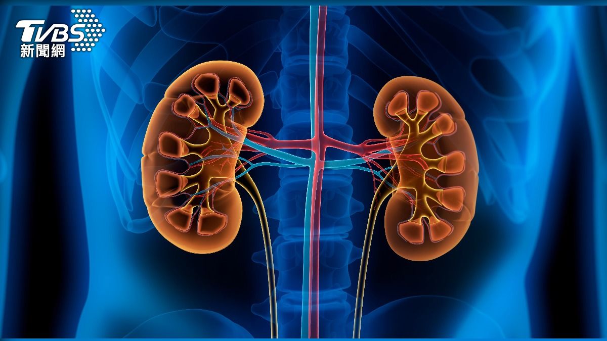 護腎掌握「三控三低」關鍵　中醫師加碼3穴道雙管齊下