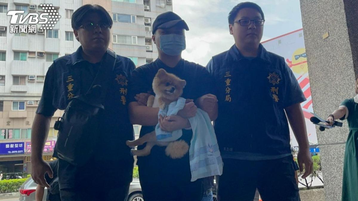 重案回顧／軟爛女婿殘殺妻家3口！落網「緊抱博美」　國民法官判3死刑