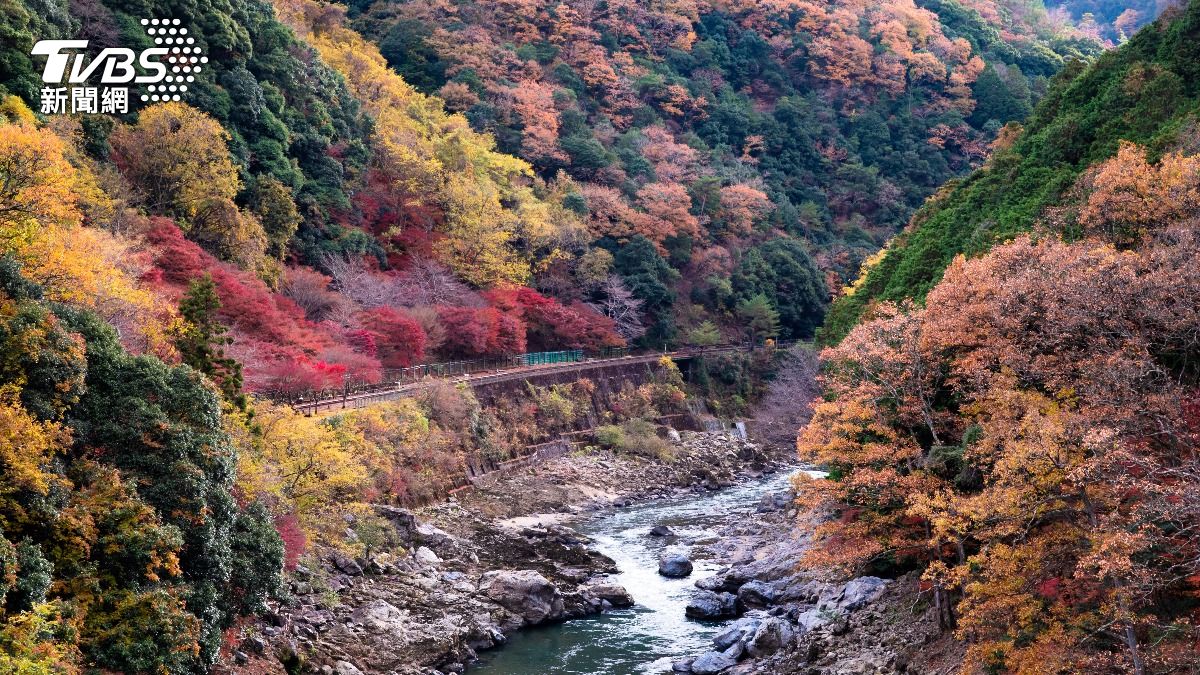 2025日本楓葉預測出爐》最佳賞楓時間、朝聖景點一次看- ToursCombine