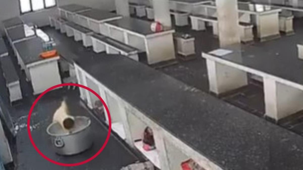 燒燙傷-牛奶鍋-傷亡-校園廚房-印度-小貓-熱鍋-監視器-女童