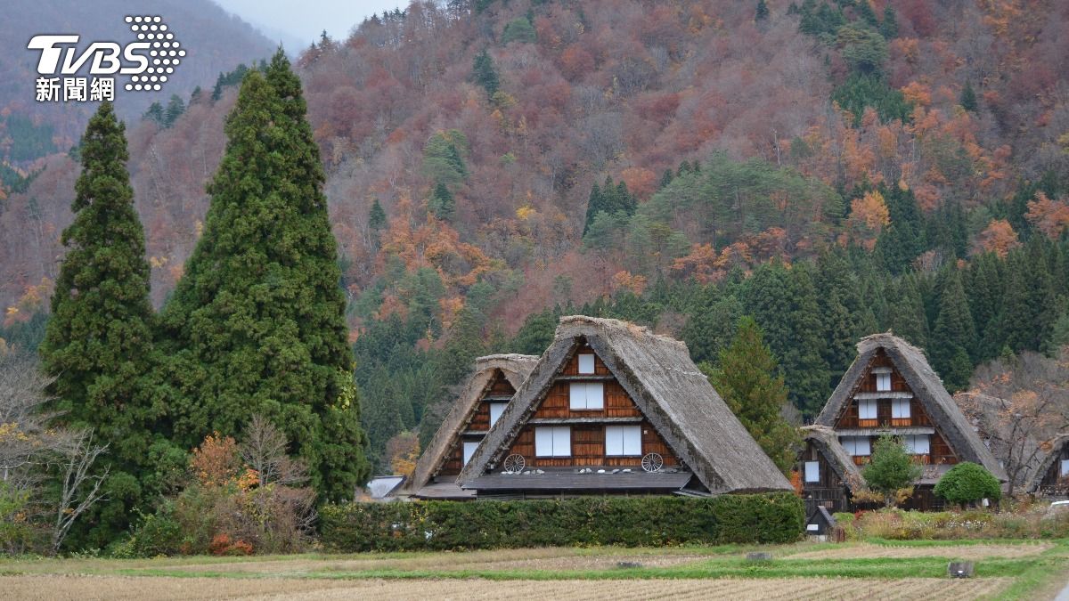 日本白川鄉驚傳熊出沒。（示意圖／shutterstock 達志影像）