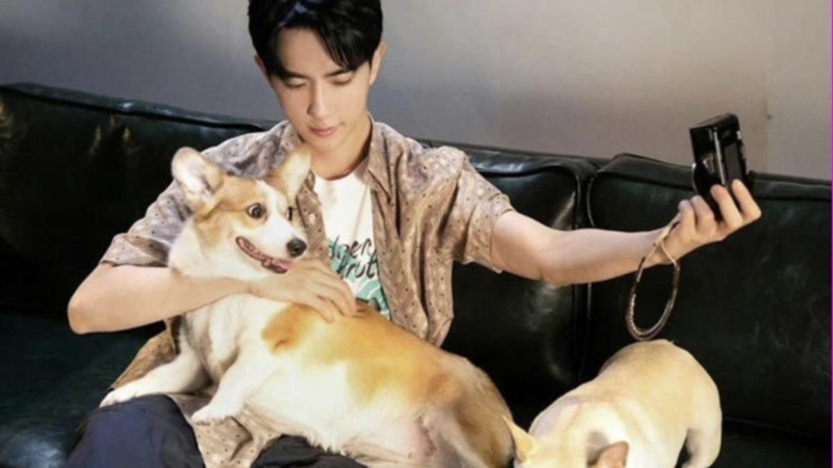 于朦朧生前非常寵愛2隻愛犬。（圖／翻攝自微博）