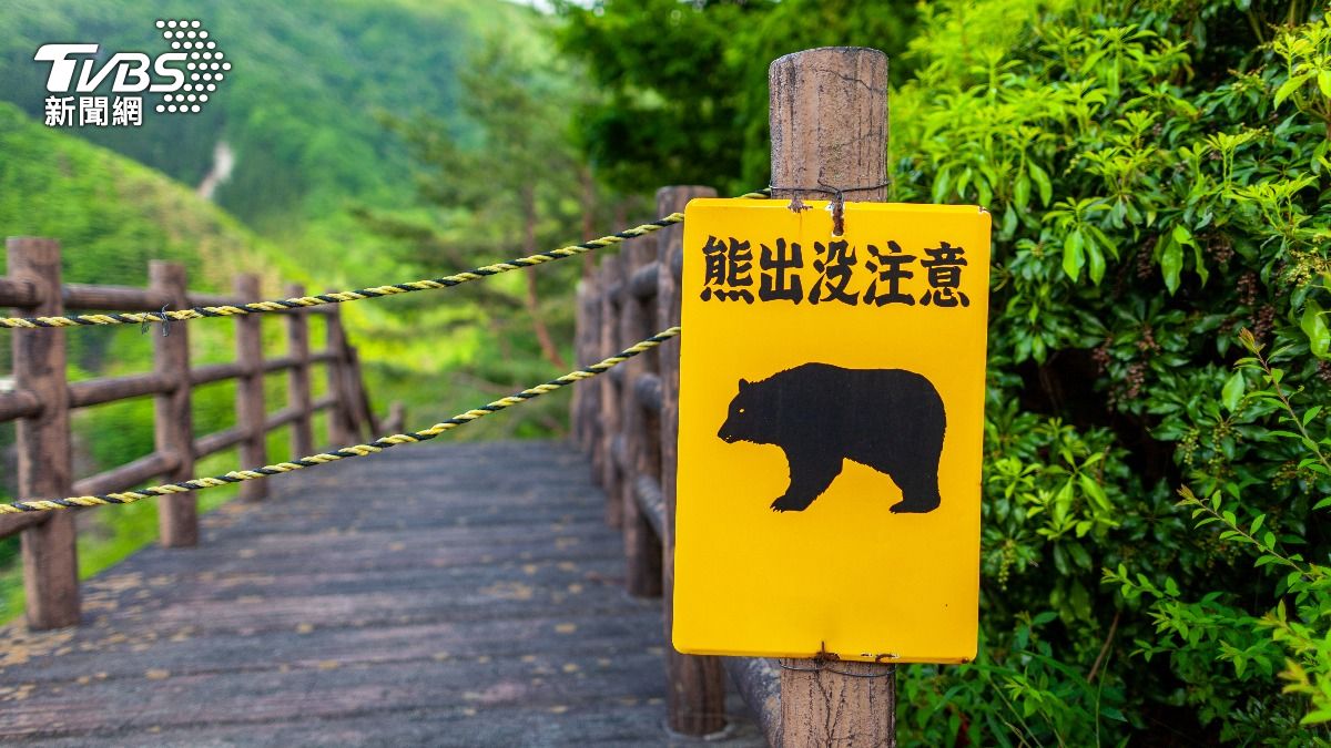 日本熊出沒「通報增3倍」!衝擊楓葉季觀光 白川鄉取消點燈