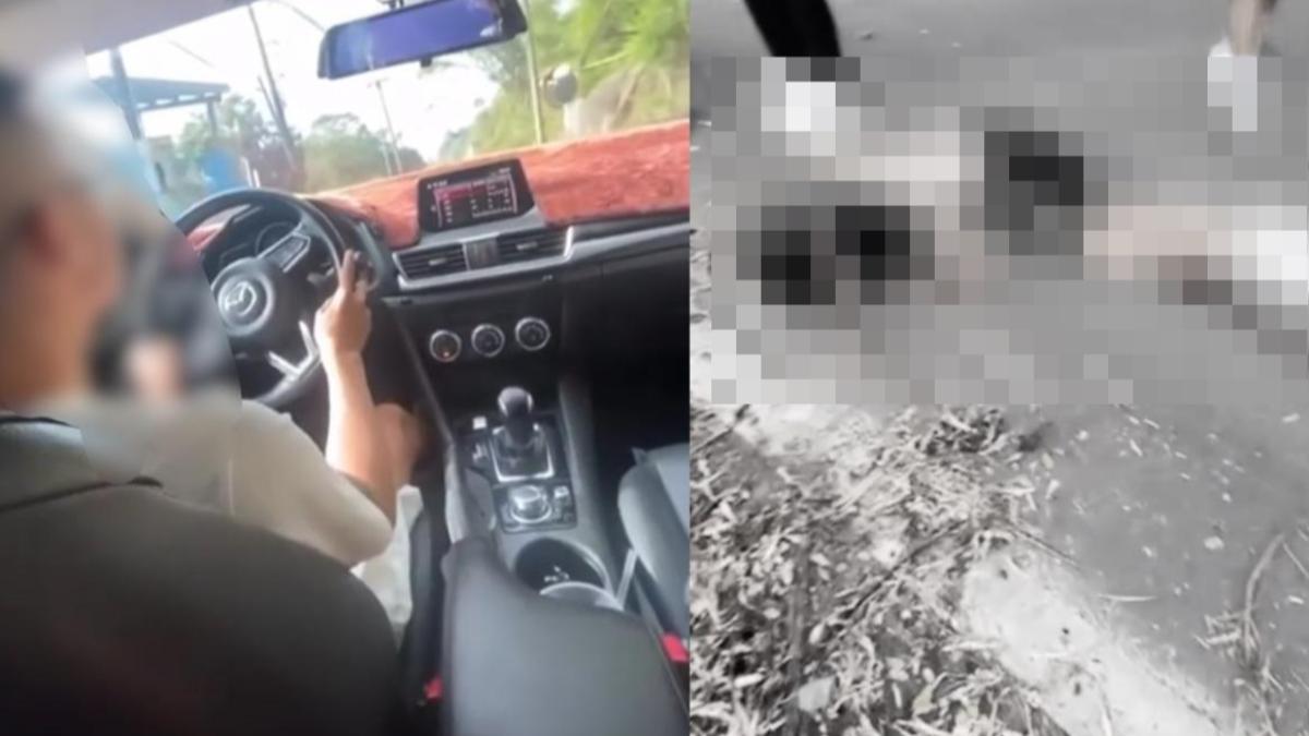 蘇姓男子無照駕駛車輛，意外撞死同樣上山看日出的好友。（圖／翻攝記者爆料網）