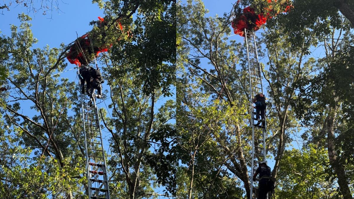 雙人跳傘意外！年輕教練墜地亡　學員困15m樹頂數小時獲救