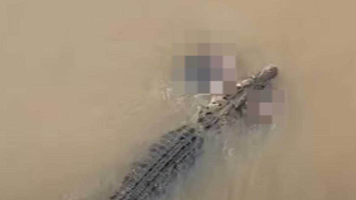 印度有名婦人在河邊洗衣服時被鱷魚拖入水中。（圖／翻攝自YouTube@The Royal World Himansu）