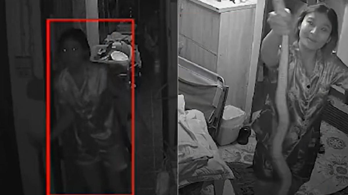 一名泰國女子為了保護自家毛小孩徒手抓蛇。（圖／翻攝thairath）