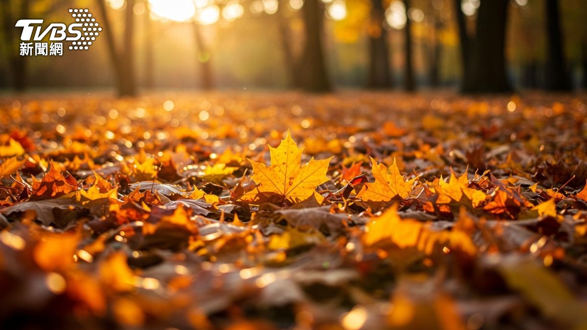 2025年秋天最旺4生肖出爐！（示意圖／shutterstock 達志影像）